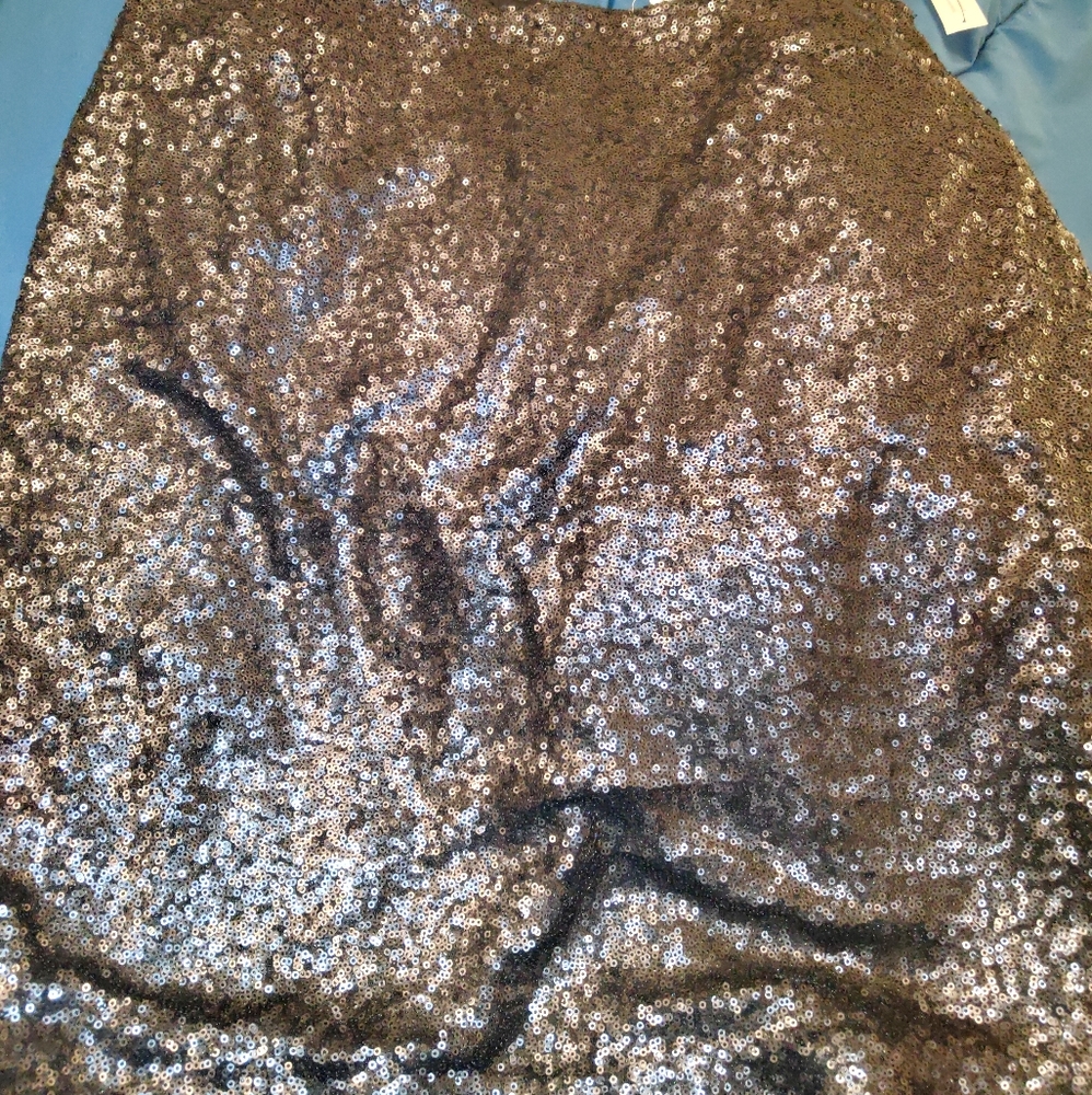 Sequin Skirt